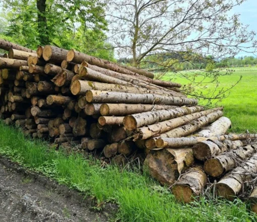 Grumes-depicea-PEFC-par-1-camion-–-60M3 PEFC-zertifizierte Fichtenstämme pro LKW-Ladung – 60 m³ – Bild 1