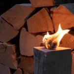 1 RM Eichenbrennholz 25 cm – Bild 2