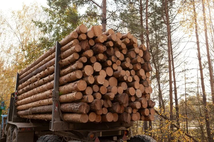 grume-camion-de-25-steres-1 Buchenstämme, LKW-Ladung von 50 Kubikmetern – Bild 1